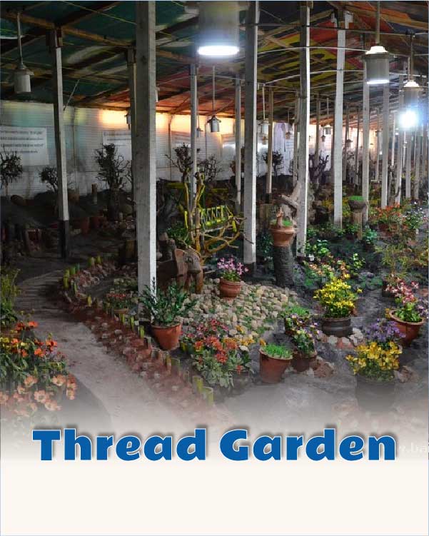 Thread Garden